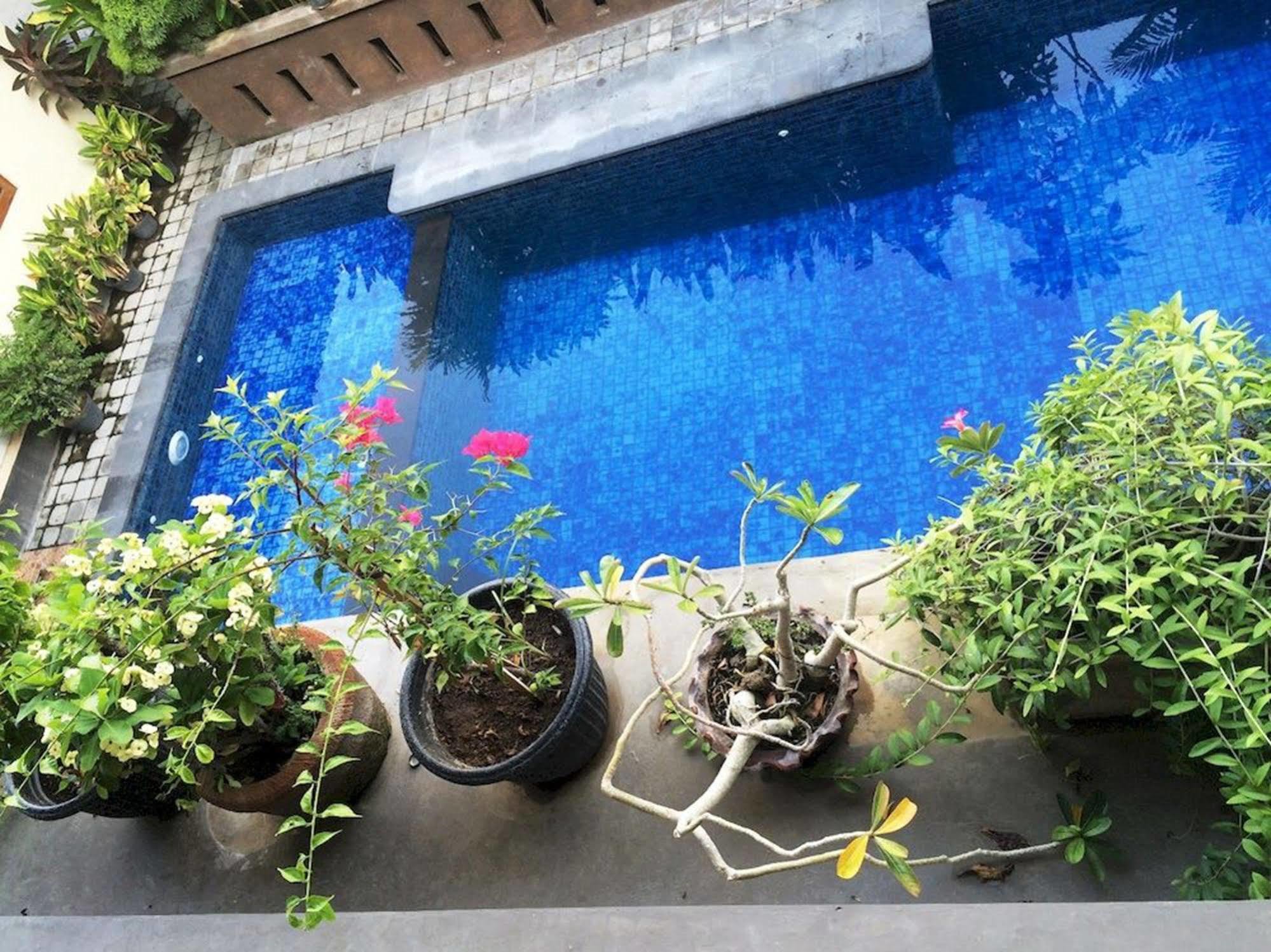 Waringin Homestay Kuta Lombok Zewnętrze zdjęcie
